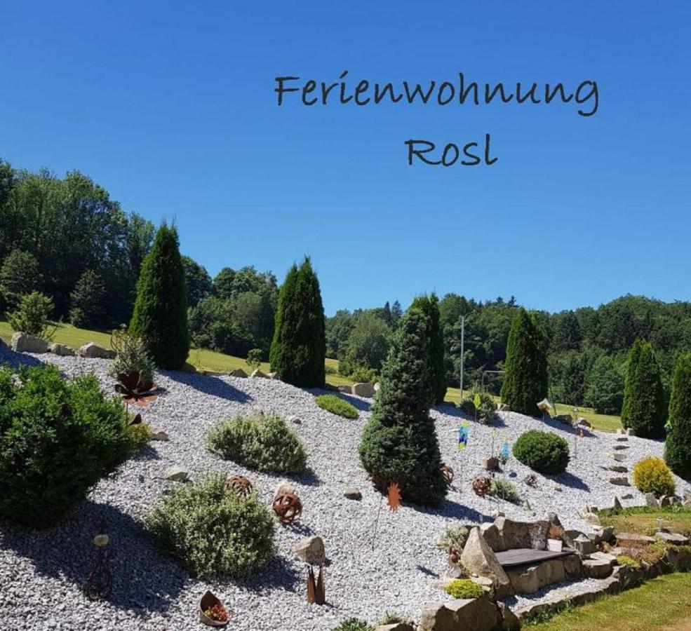 Ferienwohnung Rosl 발트키르헨 외부 사진